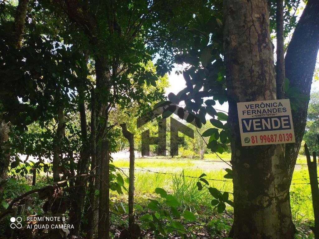 Imagem Terreno à Venda, 5.000 m² em Aldeia Dos Camarás - Camaragibe