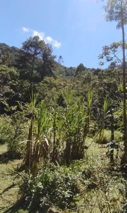 Imagem Terreno Comercial para Venda em Nova Friburgo, Mury, 1 dormitório, 1 banheiro, 3 vagas