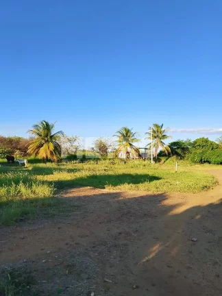 Imagem Fazenda de com 20 hectares produzindo e com Infraestrutura, CASA NOVA - BA