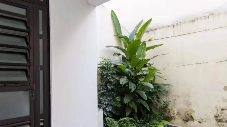 Imagem Sobrado para Alugar com 160m², 3 dormitórios, 1 suíte, 1 sala e 2 vagas!!!