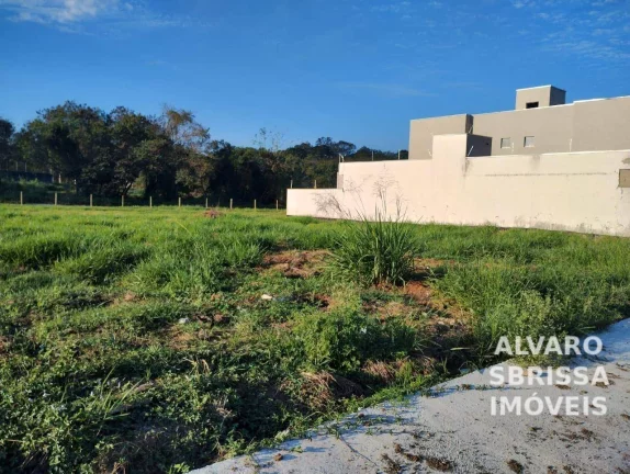 Imagem Terreno medindo 10 x 30 metros a venda no Parque São Domingos Pindamonhangaba SP
