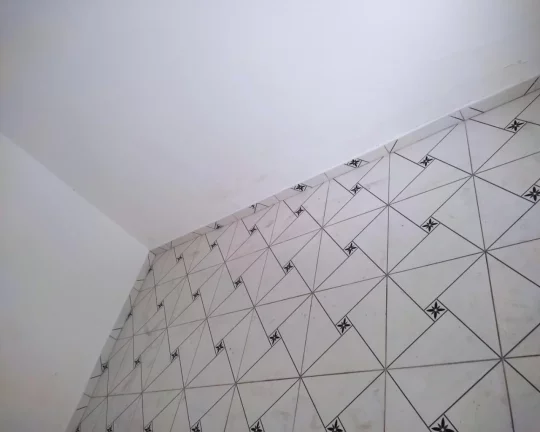 Imagem Sobrado lindo e barato , no Butantã , 2 dormitórios edícula Fl55