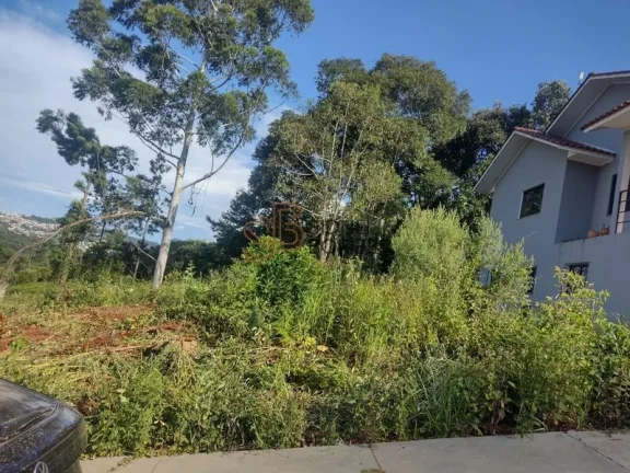 Imagem Terreno CONCÓRDIA - SC