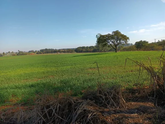 Imagem FAZENDA AVARÉ-SP