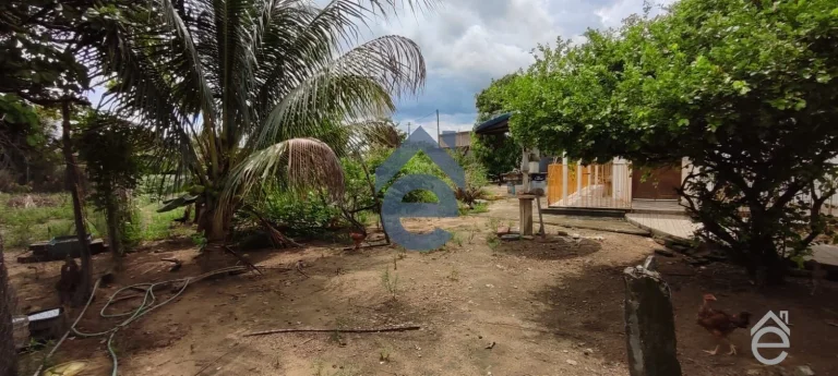 Imagem Chacará de fácil acesso em Pilar, Alagoas, com casa e piscina, 2100m2