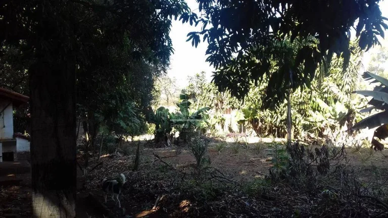 Imagem Chácara residencial / comercial no Bairro Santa Teresinha, Paulínia/SP. 

Você que busca um terre...