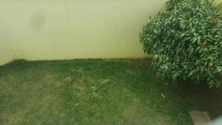 Imagem Casa para Venda por R$880.000,00 com 350m², 4 dormitórios, 3 vagas e 3 banheiros - São miguel paulista , São paulo / SP - Cód. 7983