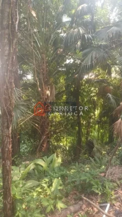 Imagem Vendo Terreno em Santa Teresa R$700.000,00