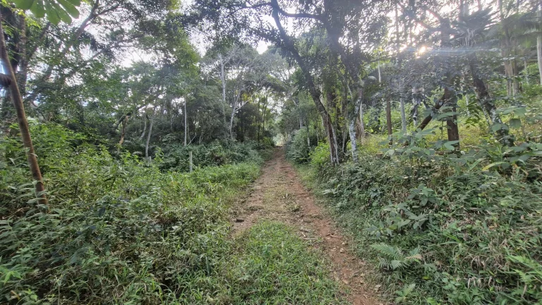 Imagem Terreno com 630m² à venda por R$200.000,00 no Siriú - Garopaba-SC