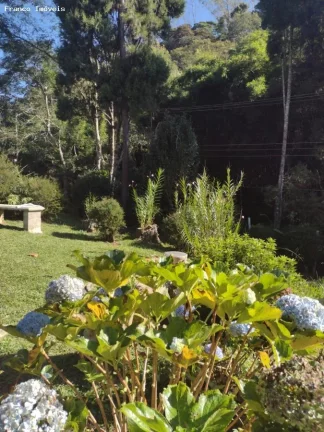 Imagem Sítio para Venda em Ribeirão Pires, Somma, 3 dormitórios, 1 suíte, 2 banheiros, 10 vagas