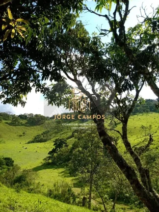 Imagem SI-25192- SÍTIO À VENDA EM IGARATÁ-SP