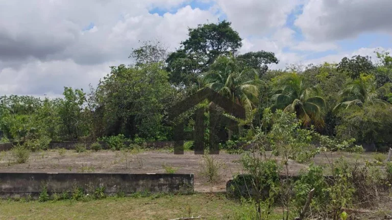 Imagem Terreno à Venda, 5.000 m² em Centro - Paudalho