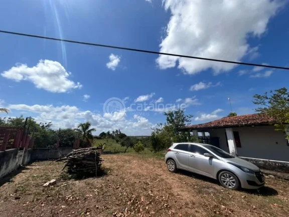 Imagem Chacara a venda completa e produtiva em Sao jose de mipibu