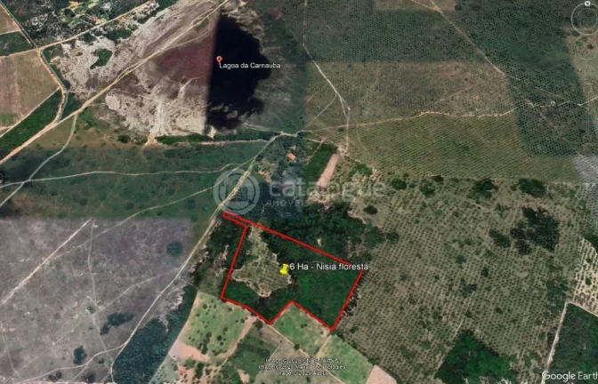 Imagem Area com 6 hectares a venda - Nisia floresta