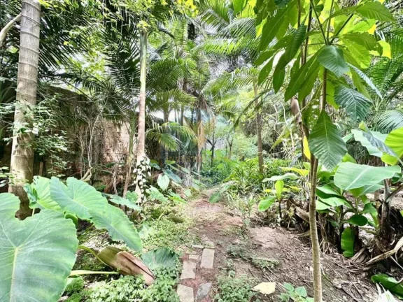 Imagem Lote a Venda no bairro Granja Viana - Cotia, SP