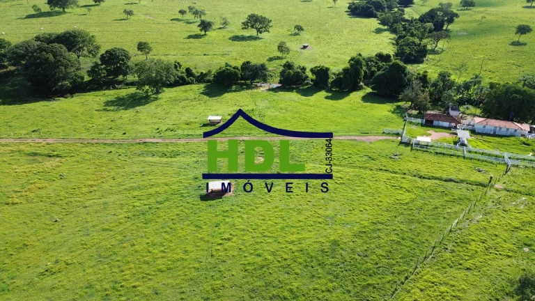 Imagem Fazenda de 1ª com 155 Hectares prox. à Goiânia.