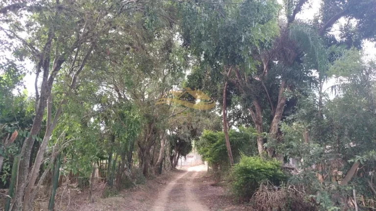 Imagem SITIO RURAL em ELIAS FAUSTO - SP, Centro