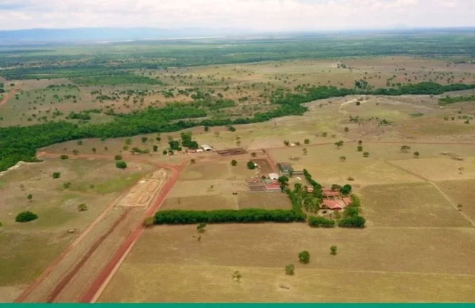 Imagem FAZENDA LUXUOSA À VENDA EM FORMOSA GOIÁS