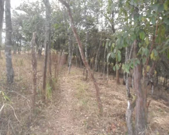 Imagem Oportunidade! área de 6.000 m² .