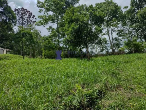 Imagem ÁREA RURAL COM 6.957,50M² EM BALSA NOVA