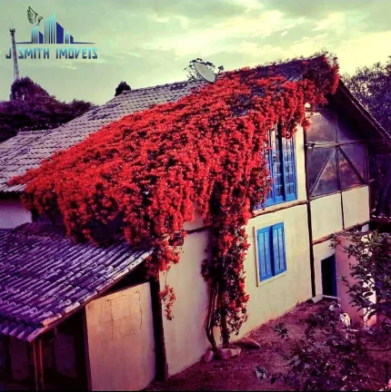 Imagem Casa de campo, rústica, um verdadeiro refúgio de harmonia e luz. 3 Suítes.