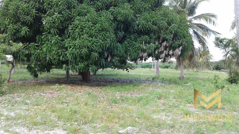 Imagem Terreno à venda, 247664 m² por R$ 1.200.000,00 - Zona Rural - Beberibe/CE