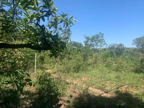 Imagem ÁREA DE 2 HECTARES , EM JUATUBA! IDEAL PARA CONSTRUTORES.