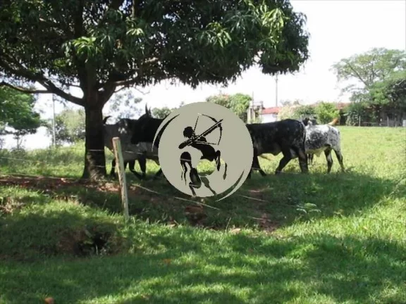 Imagem MARAVILHOSO SITIO PORTEIRA FECHADA 48.000 M2 NA BEIRA DO RIO SOROCABA , MUNICIPIO DE JUMIRIM EXCELEN...