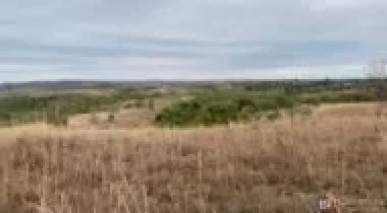Imagem Fazenda à venda em Presidente Olegário – 58 hectares planos, mecanizáveis e com água