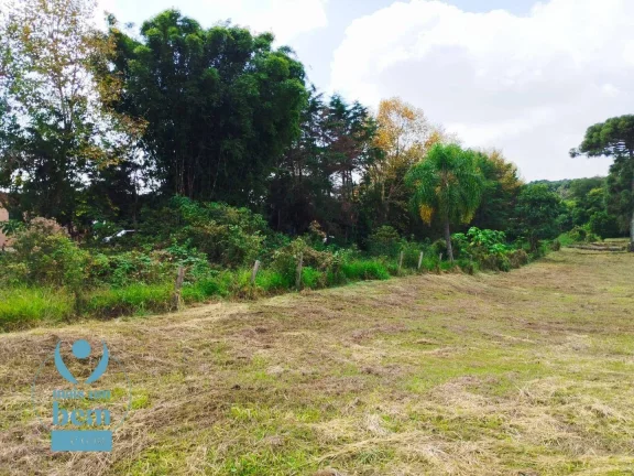 Imagem Oportunidade única. Terreno à venda, 2499 m² por R$ 1.272.000 - Santa Felicidade - Curitiba/PR