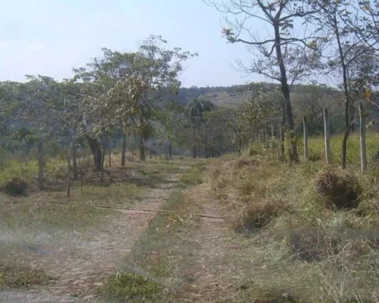Imagem LINDO HARAS à VENDA, EM JUATUBA!