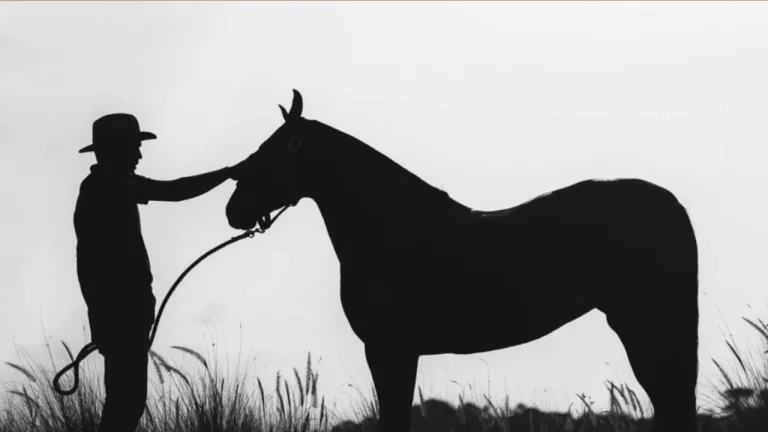 Imagem Condomínio rural com lazer completo perto de BH