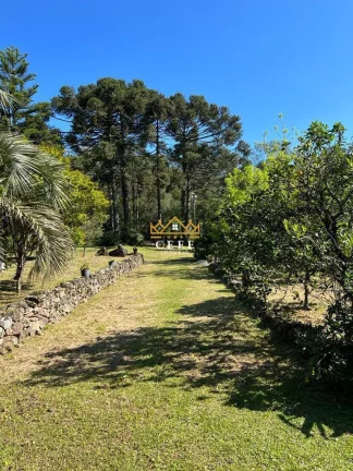 Imagem Chácara - Sítio com 4 Dormitorio(s) localizado(a) no bairro Zona Rural em Nova Petrópolis / RIO GRANDE DO SUL Ref.:1444