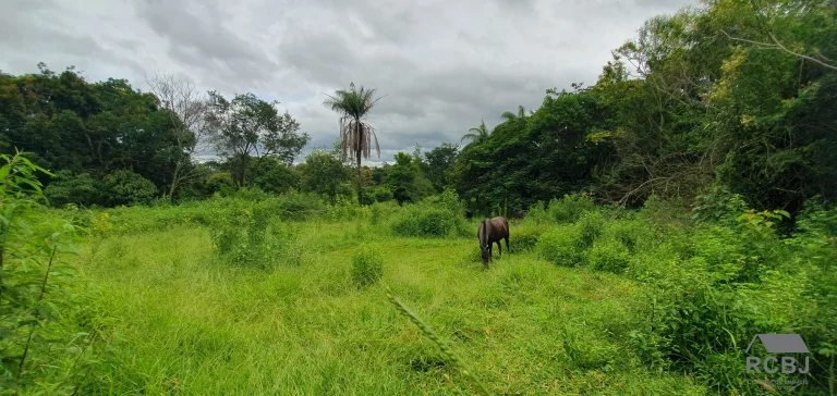Imagem TERRENO COMERCIAL em ESMERALDAS - MG, CIDADE JARDIM
