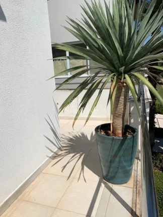 Imagem Casa à venda e locação em Alphaville com 5 quartos e 4 vagas 340m² por R$ 4.200.000,00 Gênesis I - Santana de Parnaíba/SP