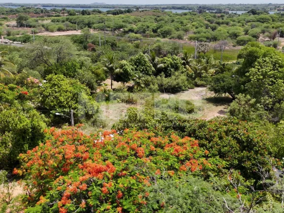 Imagem Área beira Rio - Bairro Jatobá 26.000m , PETROLINA - PE