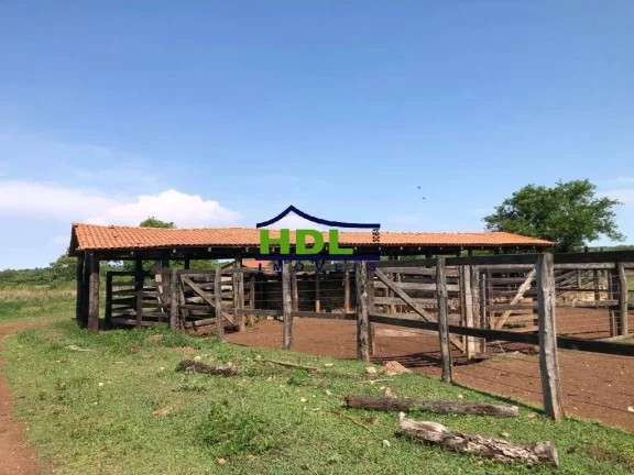 Imagem Fazenda 230 Alqs em Natividade do Tocantins