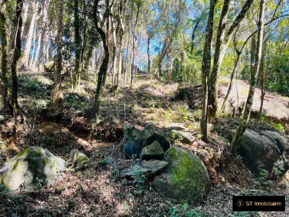 Imagem Terreno em Terra Preta a 5min da pista! Financia! Permuta! R$230.000,00!