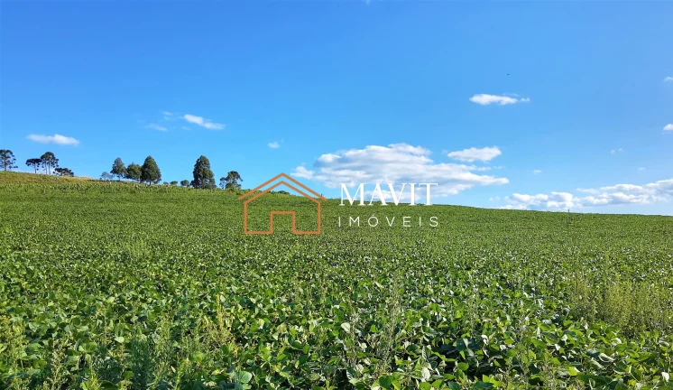 Imagem SITIO RURAL em CAPÃO ALTO - SC, Capão Alto