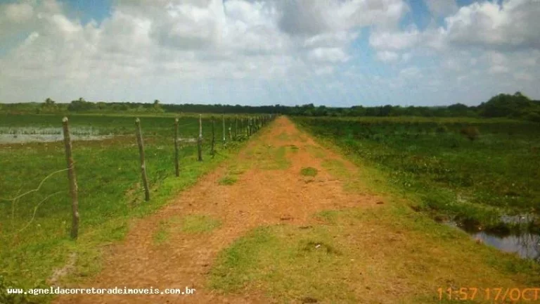 Imagem Fazenda para Venda em Extremoz, capim -extremoz, 3 dormitórios, 1 suíte, 2 banheiros, 6 vagas