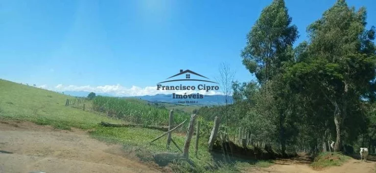 Imagem Fazenda à venda no bairro Carneiros - Cunha/SP