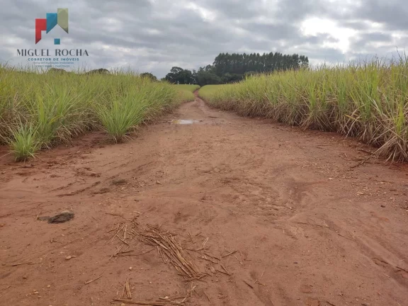 Imagem Fazenda região de Tatuí SP