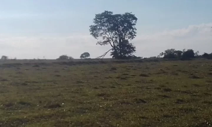 Imagem Sítio - Vende Promissão ( prox. Marília) e Região/SP