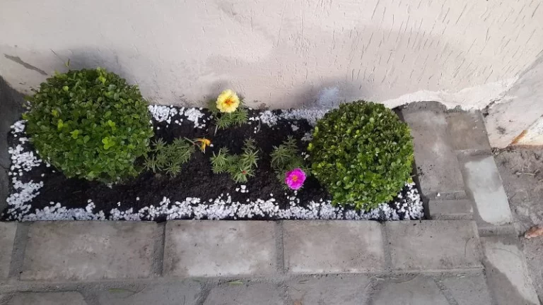 Imagem Bauru/SP, Jardim Silvestre, Casa 04 dormitórios
