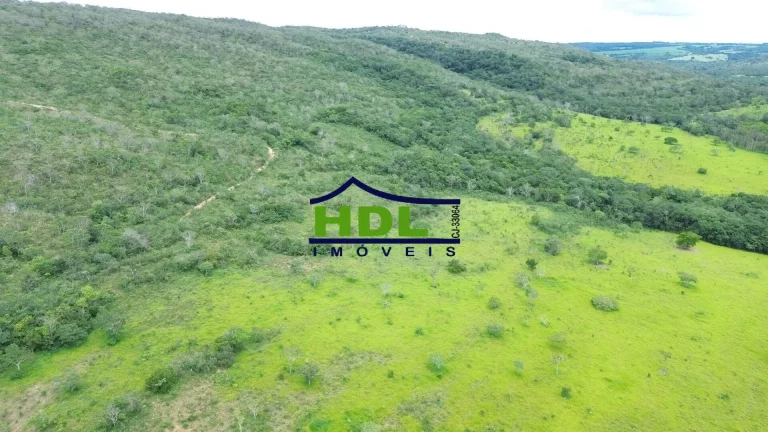 Imagem Fazenda 36 Alqs com 2,5 kms beira Rio dos Bois 60% em Permuta