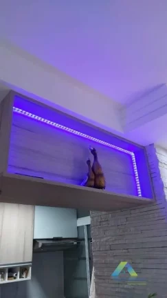 Imagem Apartamento com 2 dormitórios à venda, 50 m² por R$ 320.000,00 - Jardim Celeste - São Paulo/SP