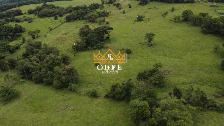 Imagem Chácara - Sítio com 3 Dormitorio(s) localizado(a) no bairro Zona Rural em Igrejinha / RIO GRANDE DO SUL Ref.:1386