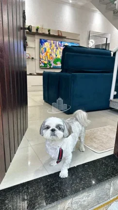 Imagem Casa Padrão