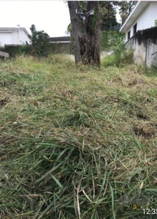 Imagem Terreno para venda ou locação na Vila Leopoldina, São Paulo SP, com 640m²