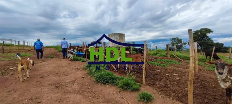 Imagem 61 alqs Top em Pontalina Go